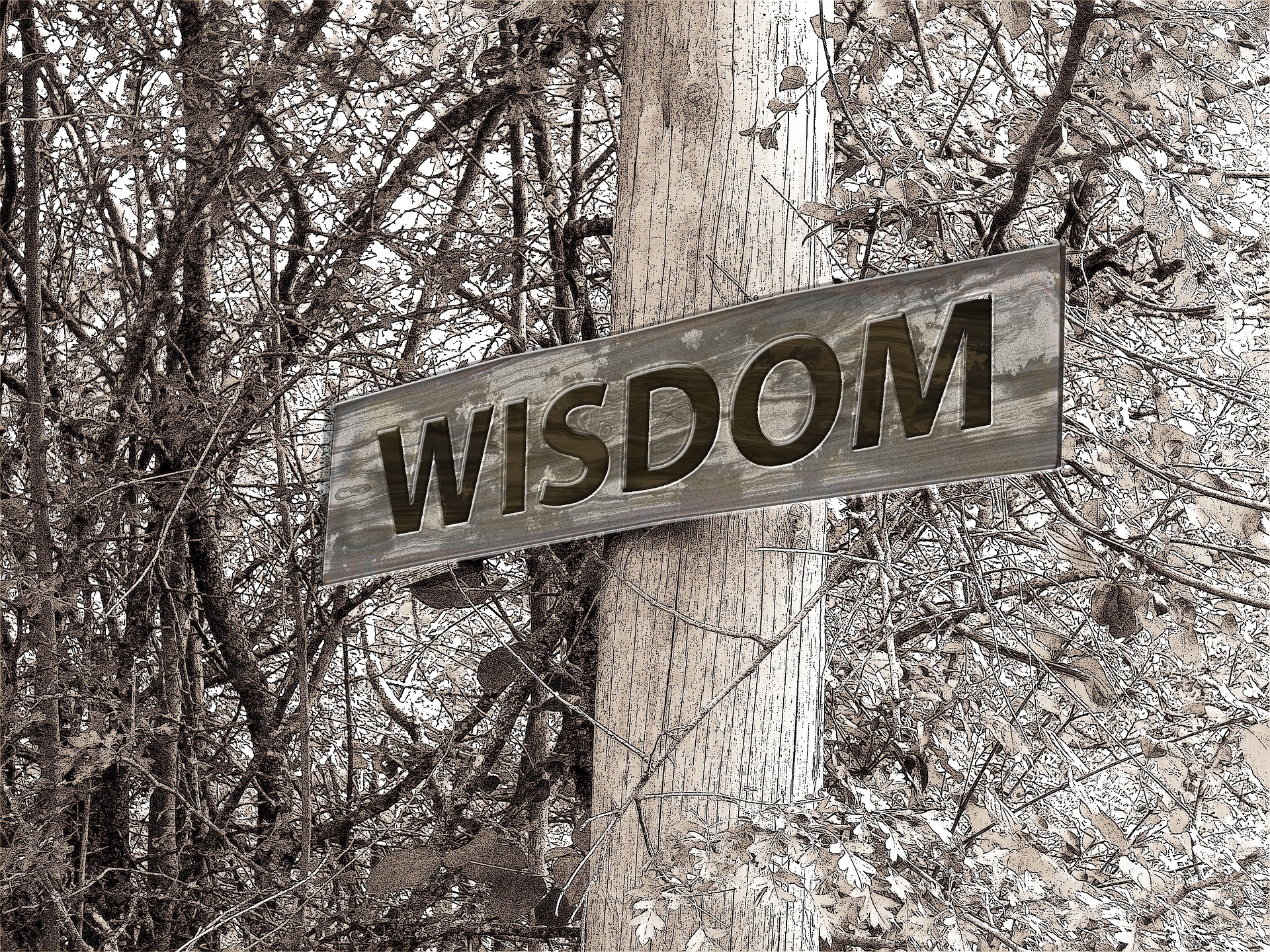 What does the bible says about wisdom?